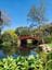 Wollongong Botanic Gardens Public Day Tour Image -5da65303904ff
